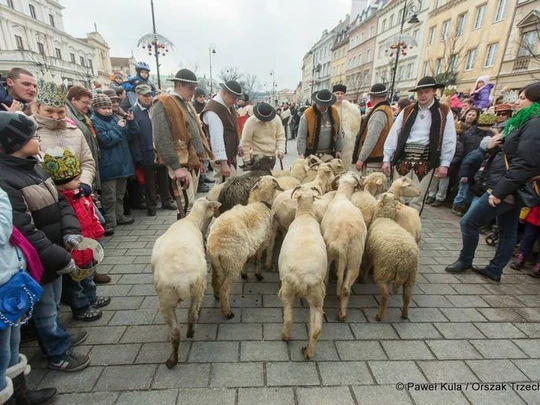 Orszak Trzech Króli Warszawa 2014